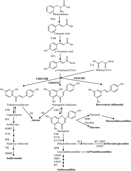 Fig. 1