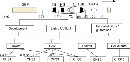 Fig. 4