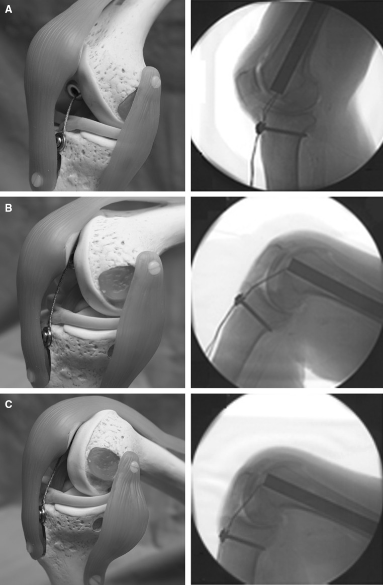 Fig. 7