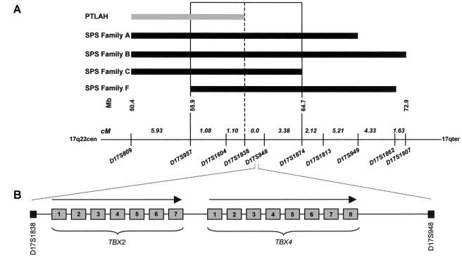 Figure  3