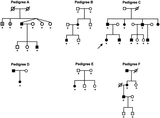 Figure  2