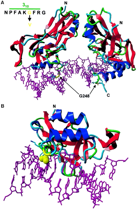 Figure  5