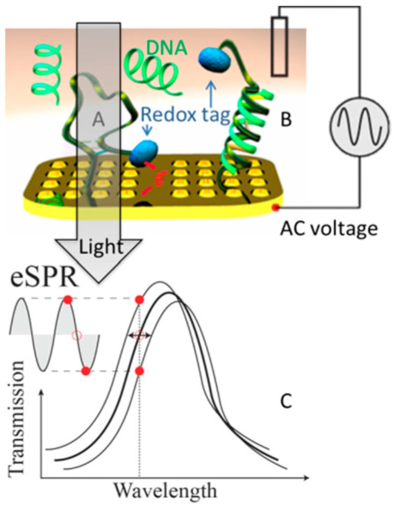 Figure 13