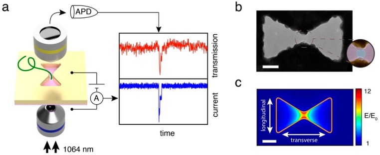 Figure 12