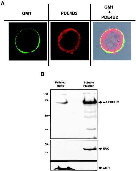 FIG. 10.