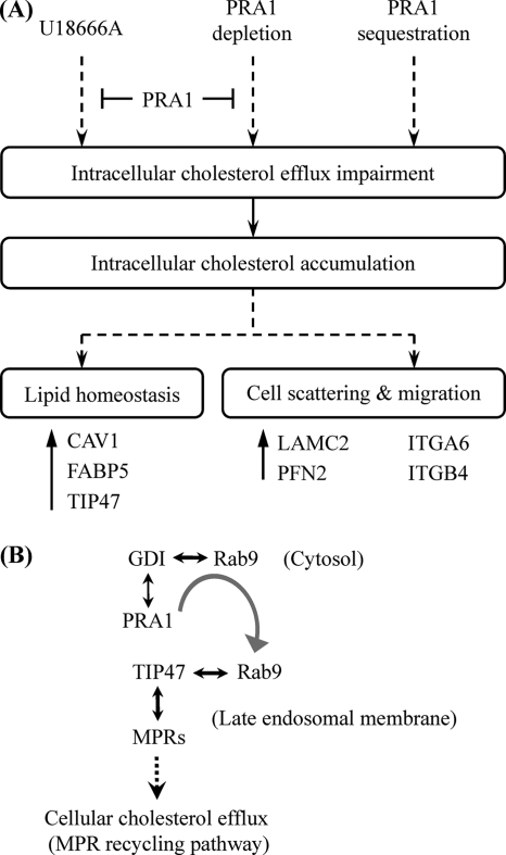 Fig. 8.