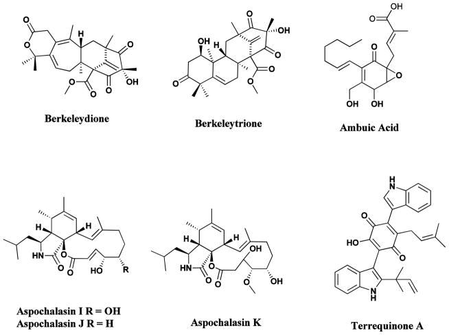 Fig 14