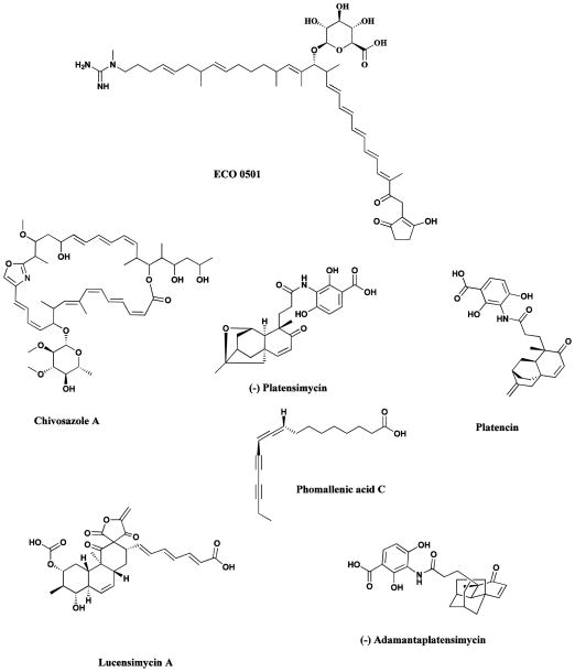 Fig. 18