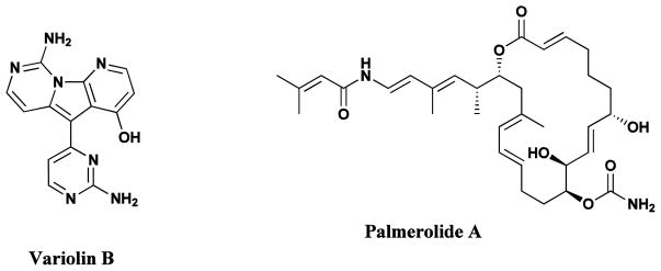 Fig. 13