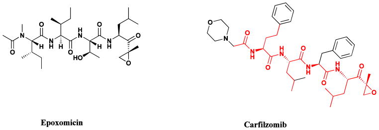 Fig. 19