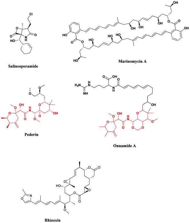 Fig. 15