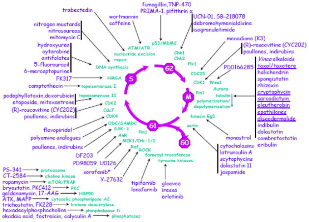 Fig 12