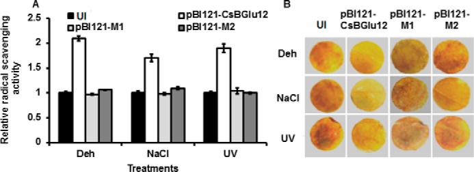 FIGURE 9.