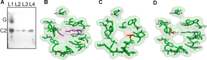 FIGURE 4.