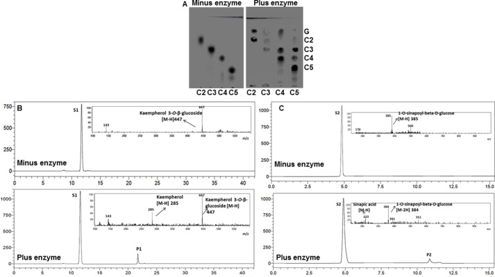 FIGURE 3.