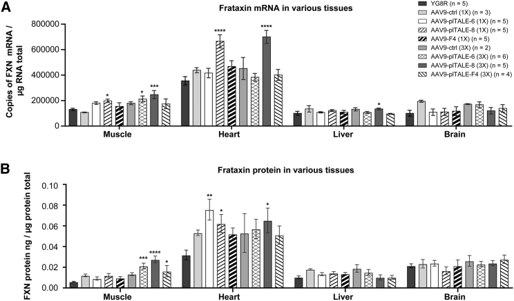 Figure 7