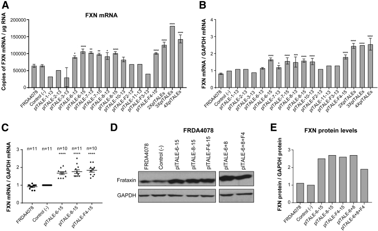 Figure 2