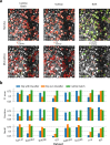 Figure 4—figure supplement 2.