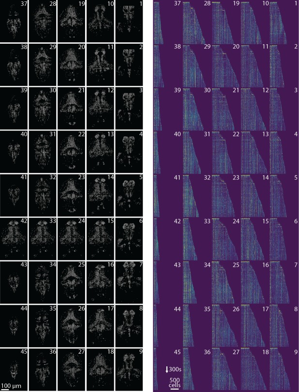 Figure 6—figure supplement 1.