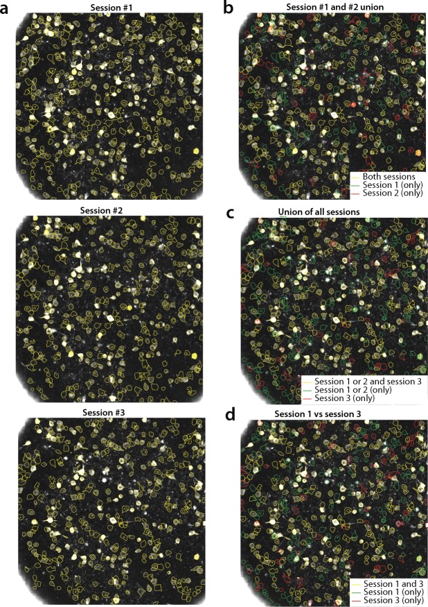 Figure 9—figure supplement 1.