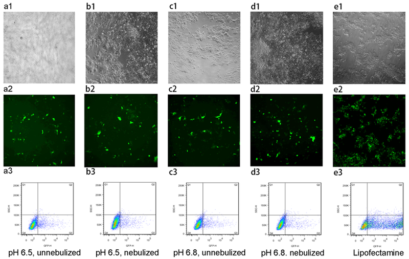 Figure 13.