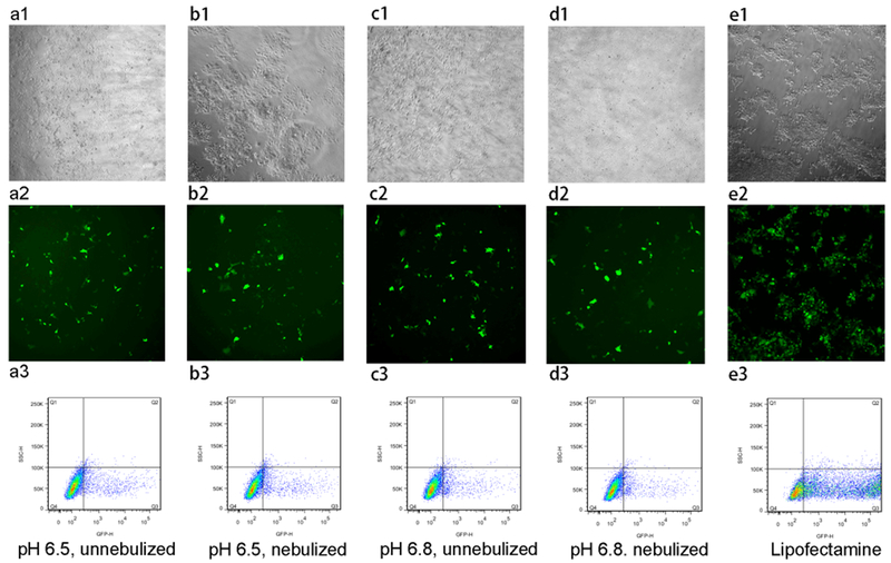 Figure 12.