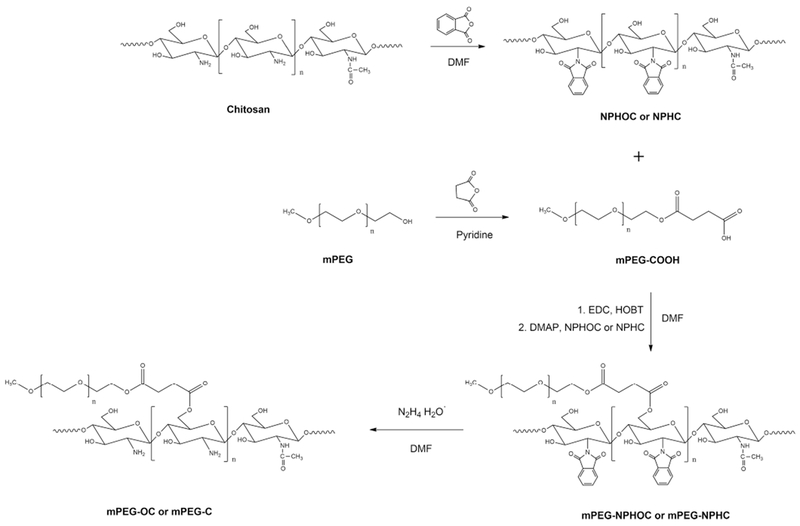 Scheme 1.