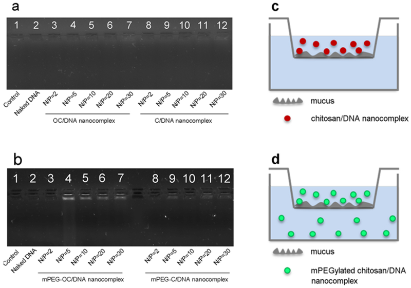 Figure 10.