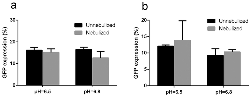 Figure 11.