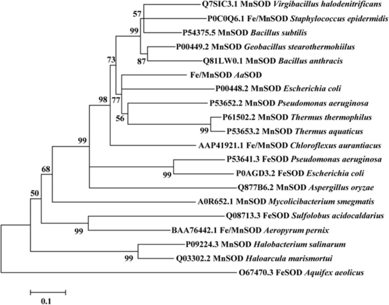 FIGURE 1