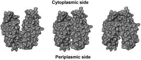 Fig. P1.