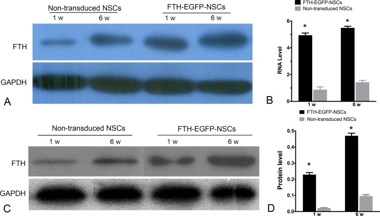 Fig. 8.