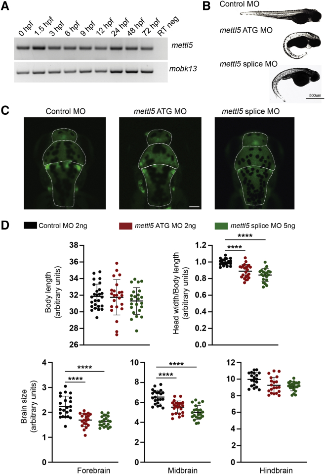 Figure 4