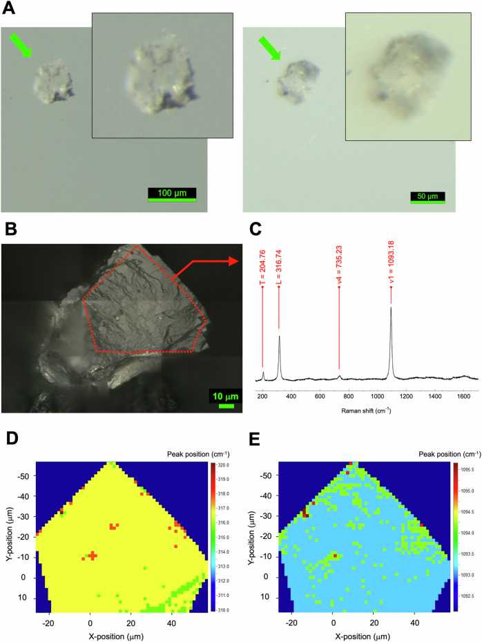 Fig. 2