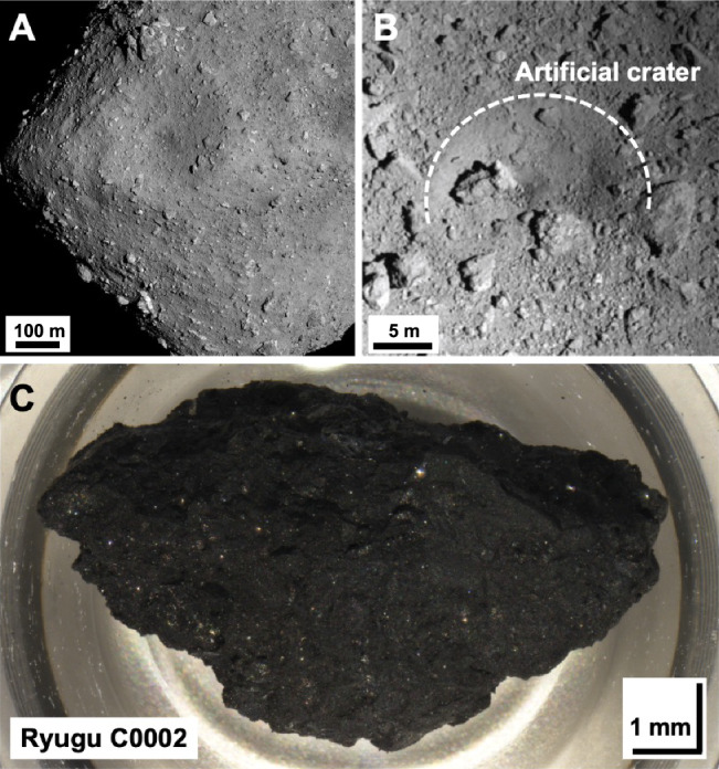 Fig. 1