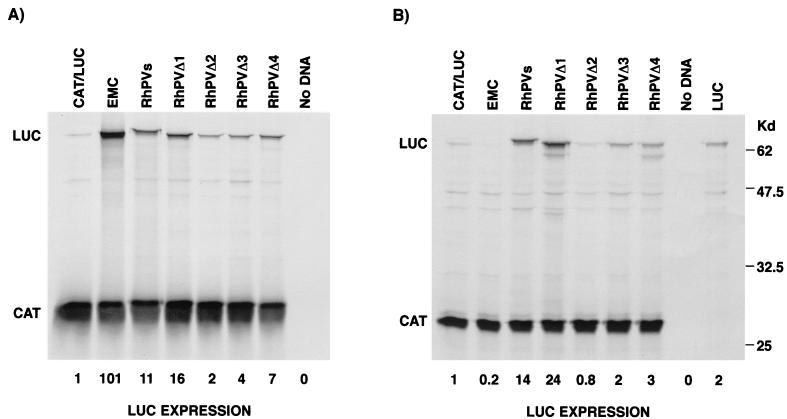 FIG. 5