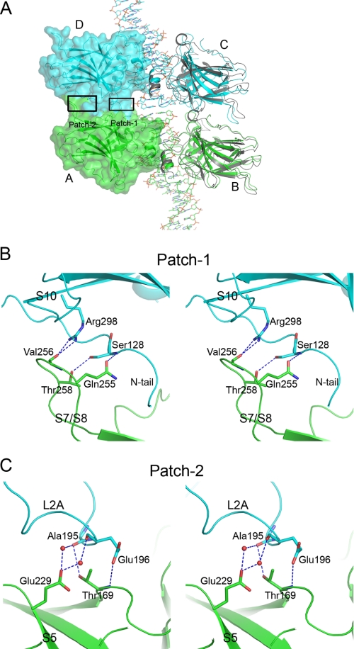 FIGURE 5.