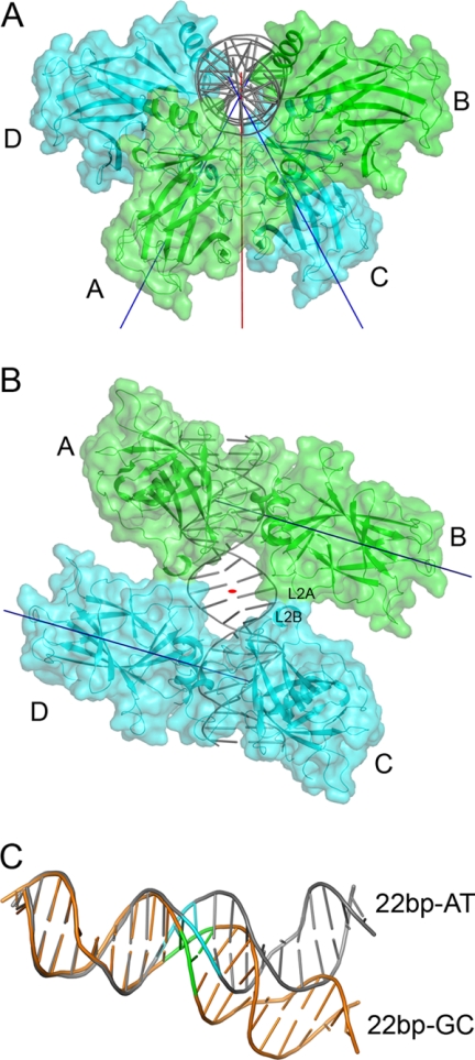 FIGURE 3.