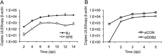 FIG 4