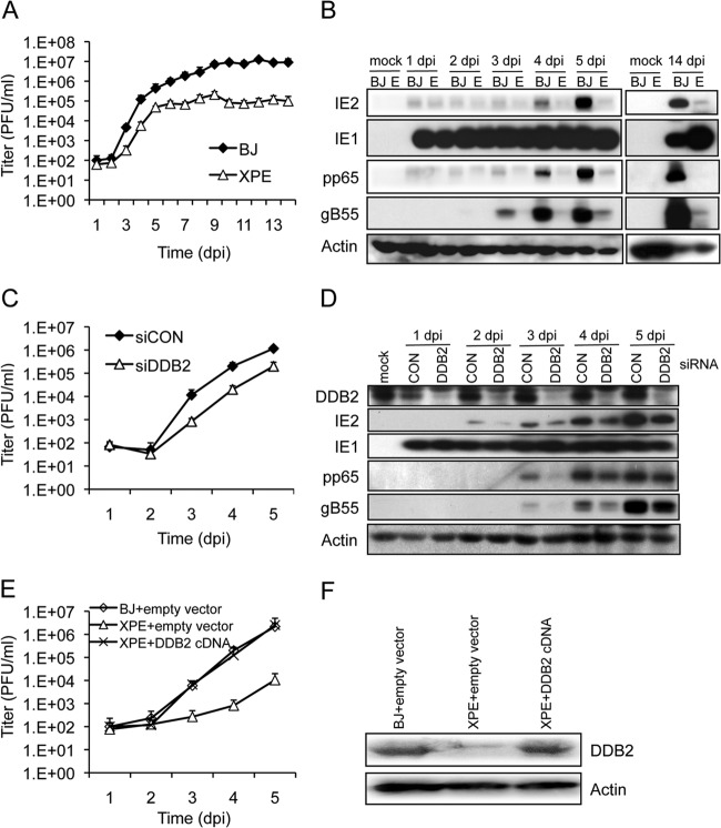 FIG 1