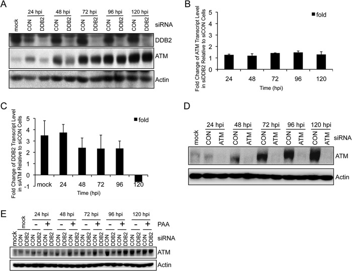 FIG 8