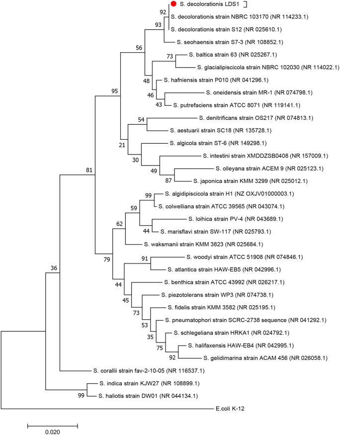 FIG 1