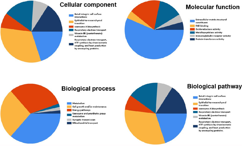 Figure 7