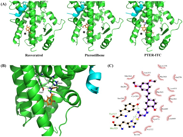 Figure 5