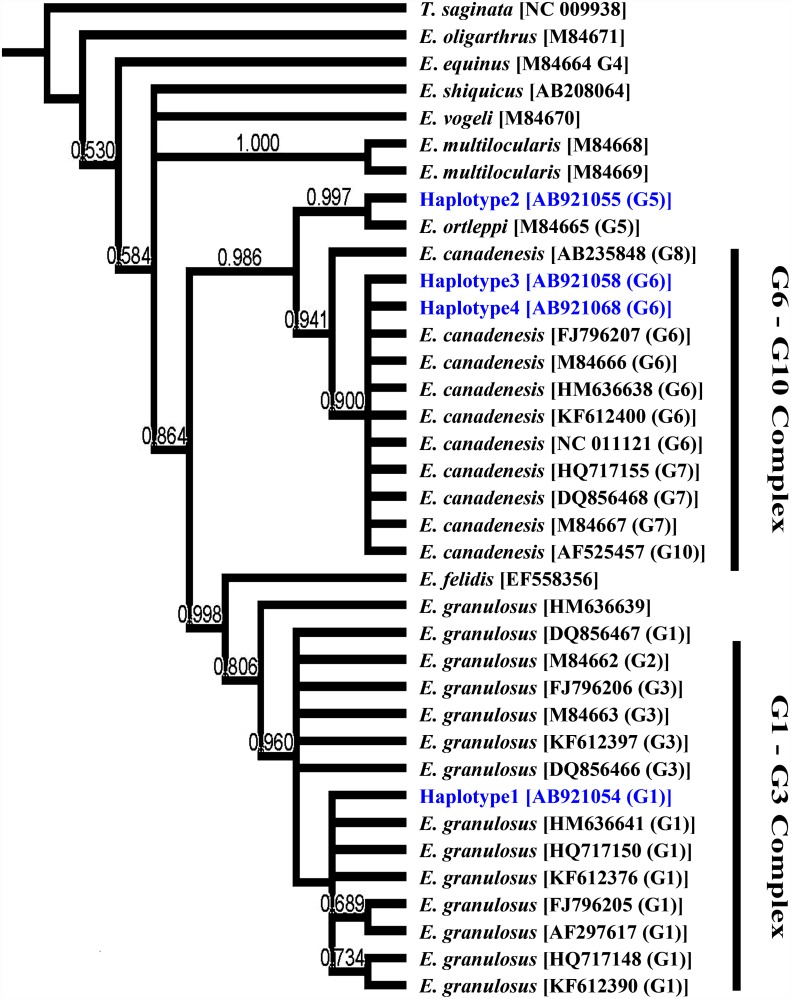 Fig 1