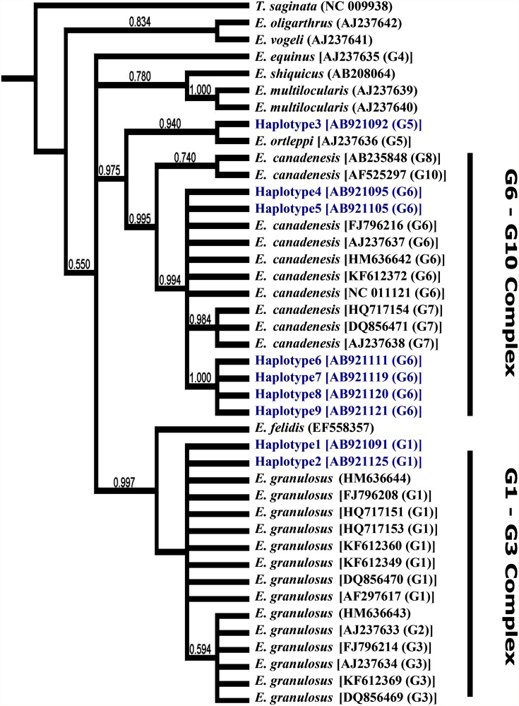 Fig 2