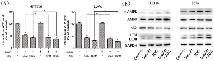 Fig 8