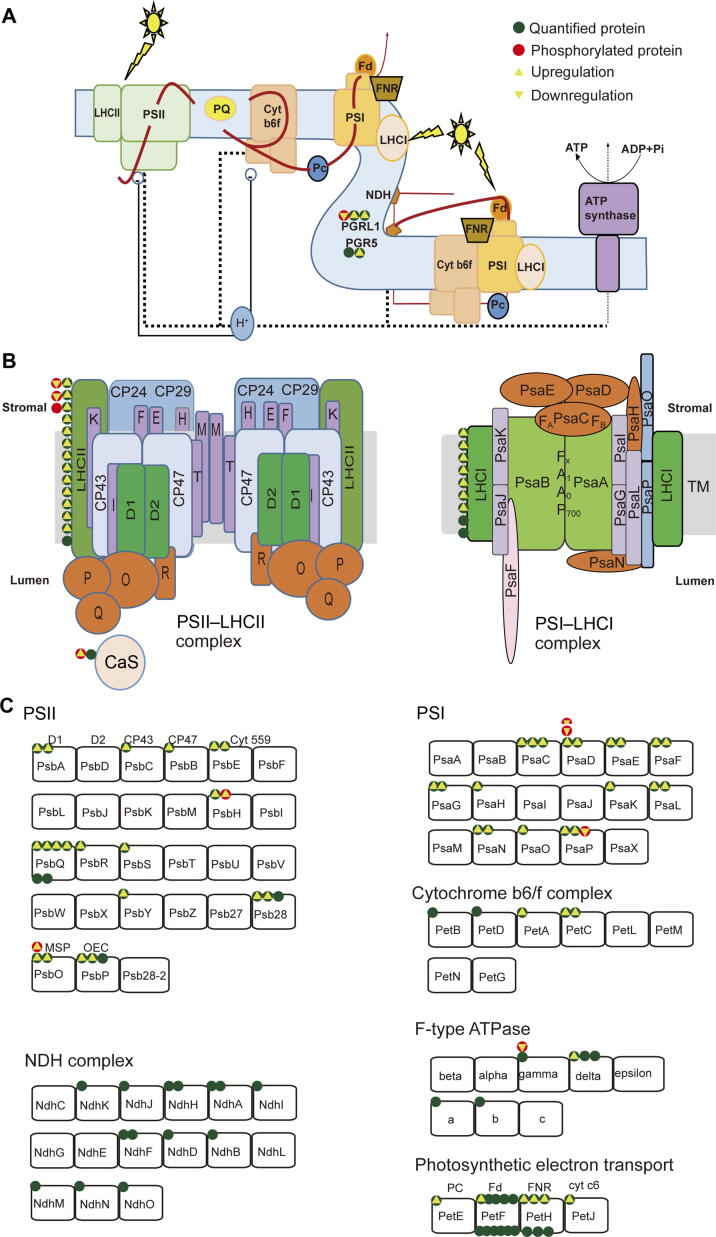 Figure 9