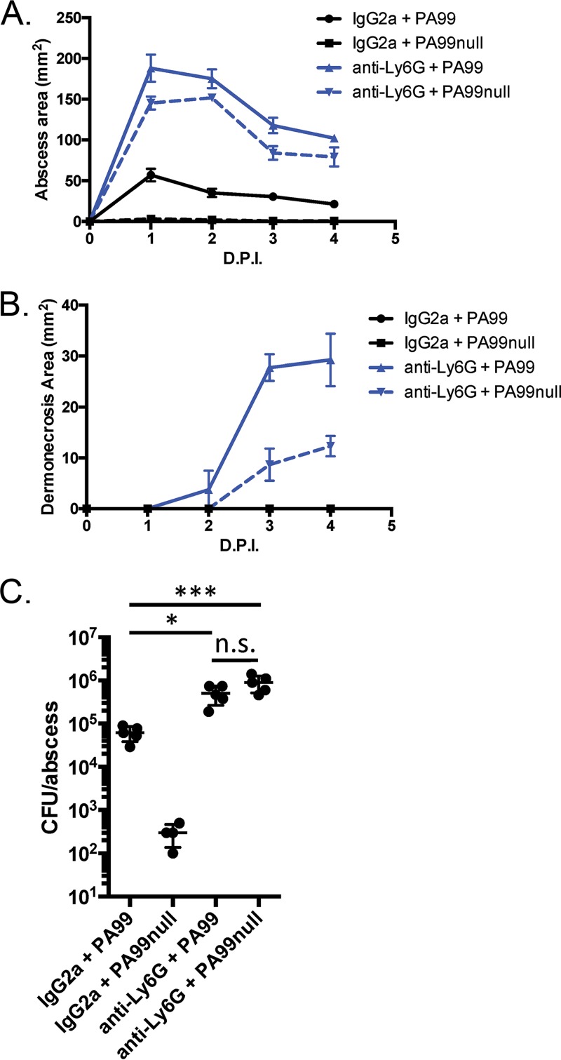 FIG 6