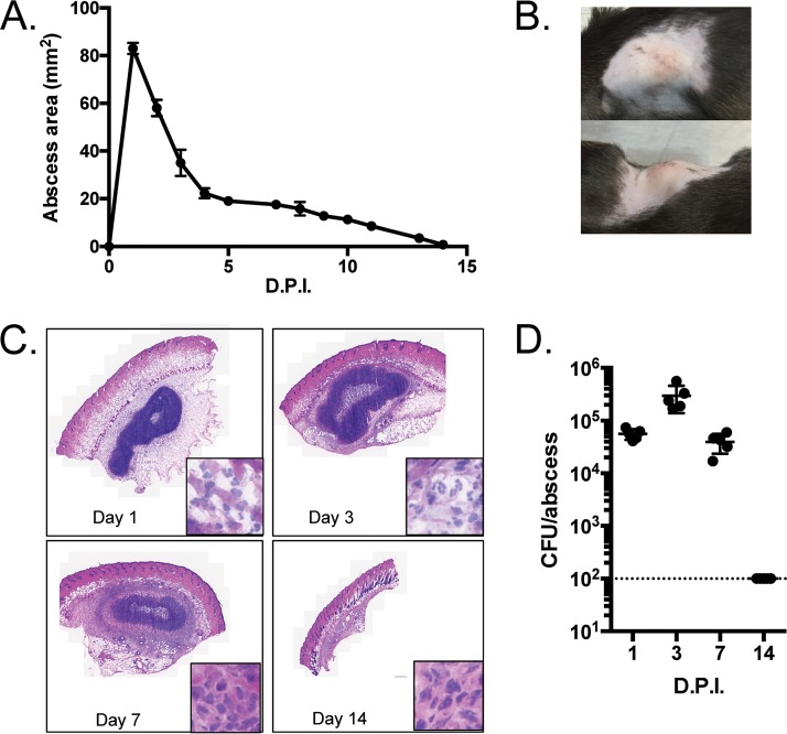 FIG 1